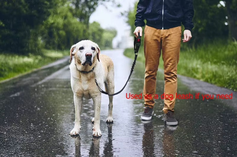 Reflective Dog Car Seat Belt /  Leash