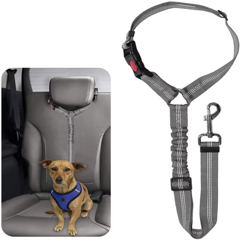 Reflective Dog Car Seat Belt /  Leash