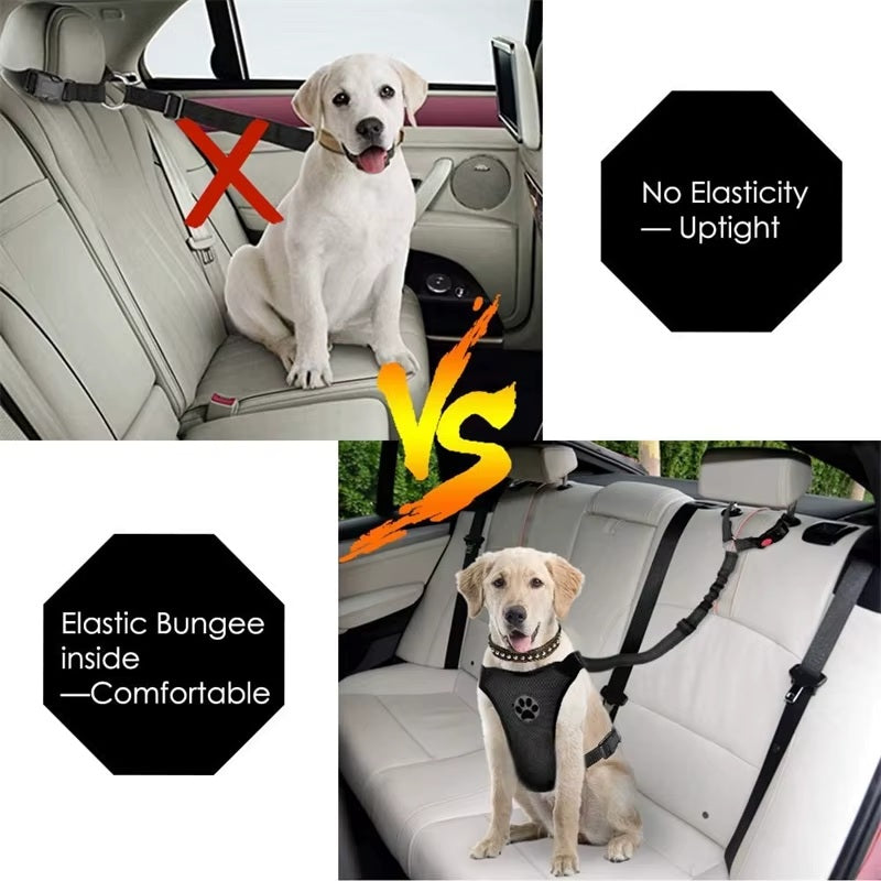 Reflective Dog Car Seat Belt /  Leash