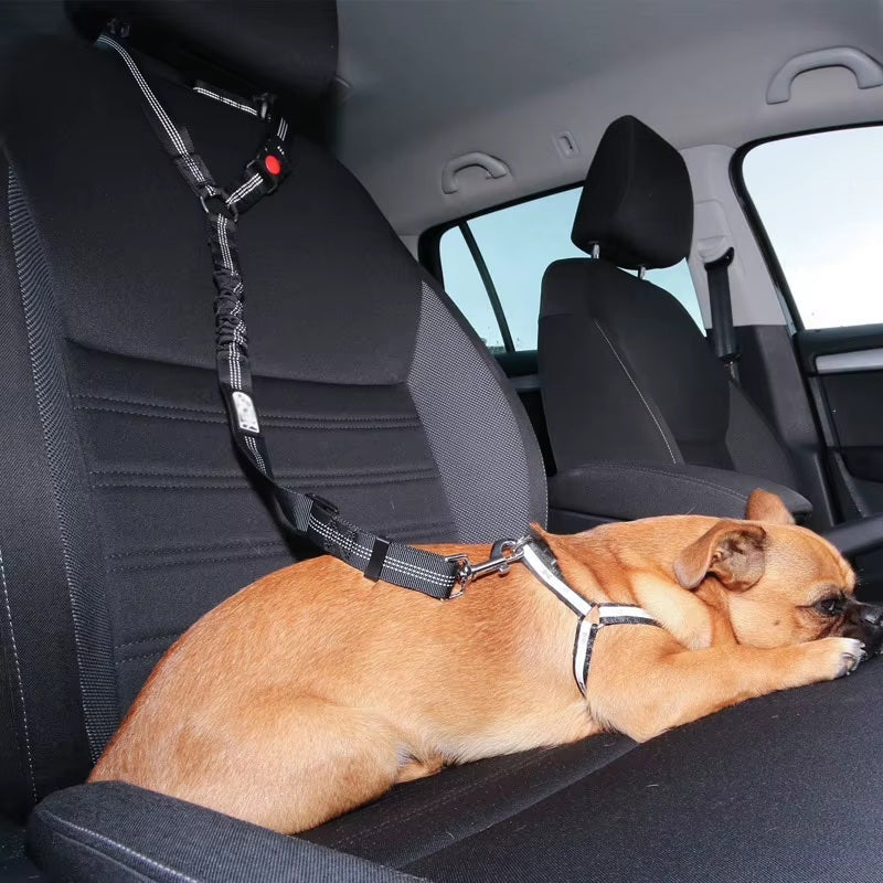 Reflective Dog Car Seat Belt /  Leash