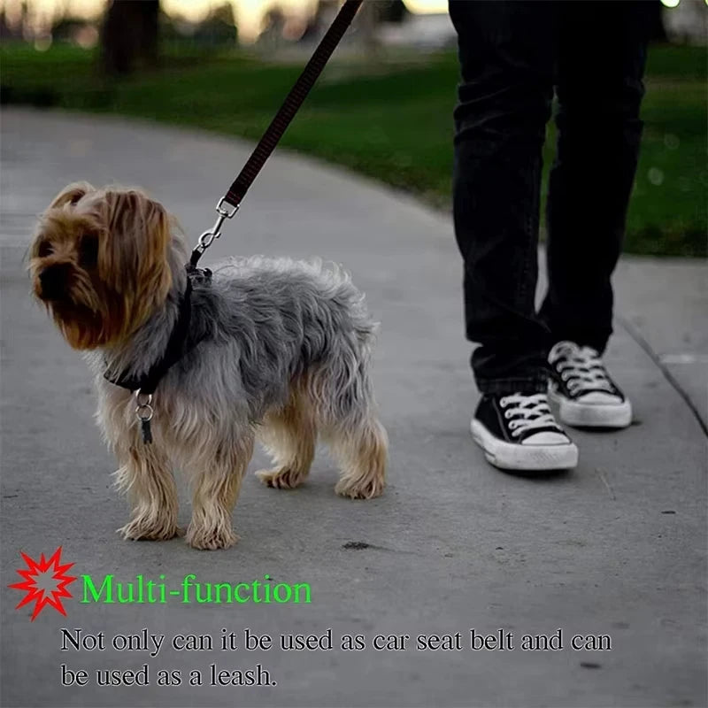 2-in-1 Dog Car Safety Belt & Leash