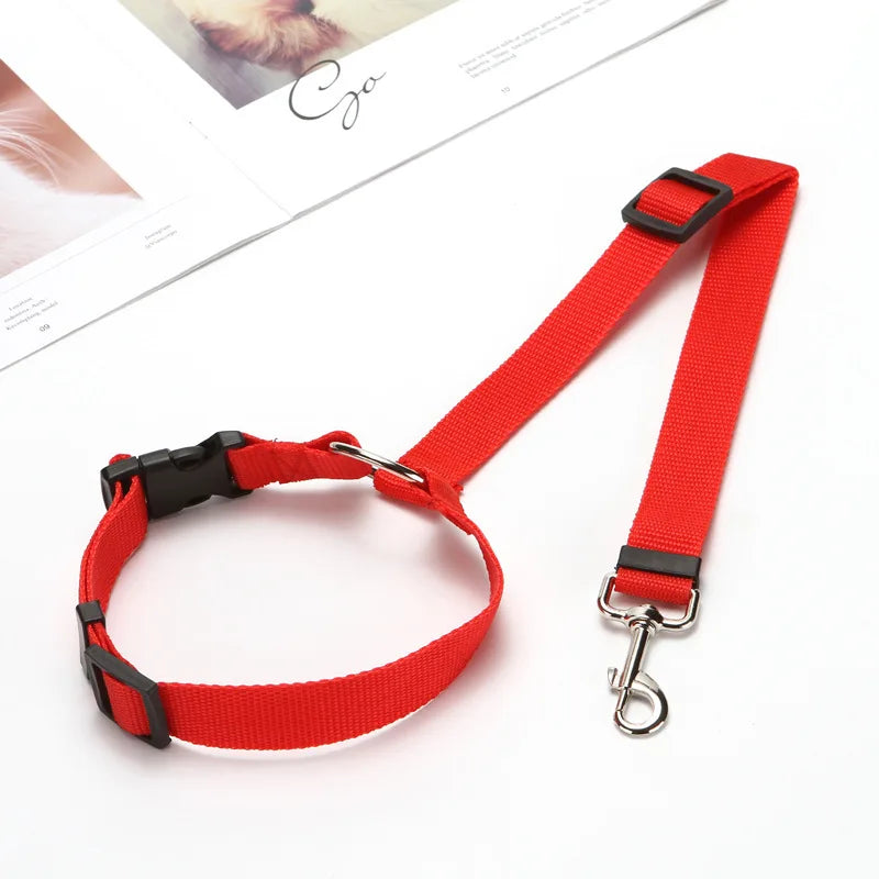 2-in-1 Dog Car Safety Belt & Leash
