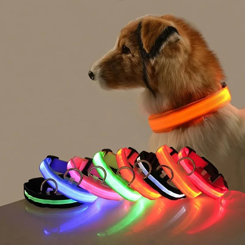 Nylon LED Luminous Dog Collar Leash Set Night Safety Flashing Glow In The Dark Fluorescent Pet Dog Walking Lead Anti-lost Night