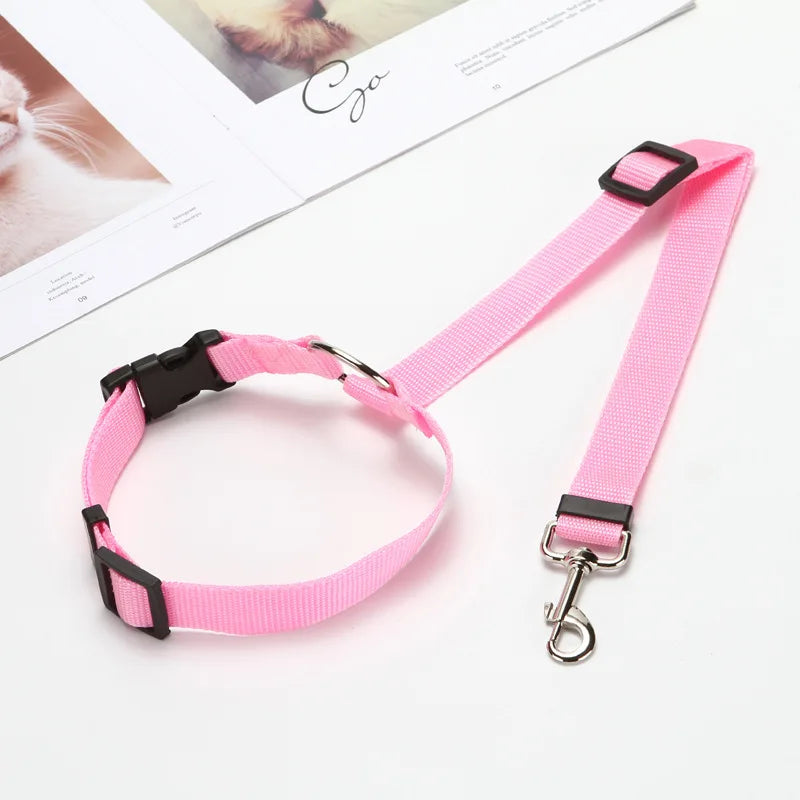 2-in-1 Dog Car Safety Belt & Leash